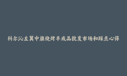 科尔沁左翼中旗烧烤半成品批发市场和踩点心得