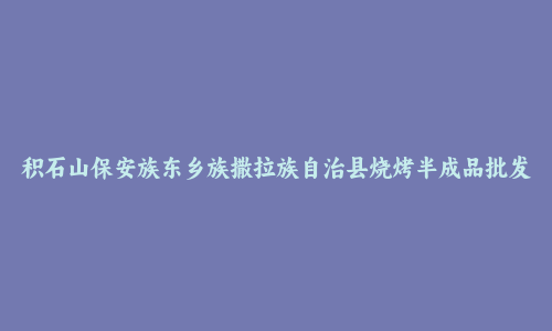 积石山保安族东乡族撒拉族自治县烧烤半成品批发市场和踩点心得