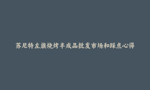 苏尼特左旗烧烤半成品批发市场和踩点心得