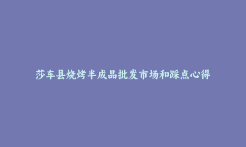 莎车县烧烤半成品批发市场和踩点心得