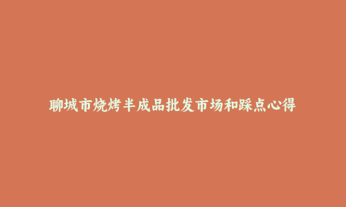 聊城市烧烤半成品批发市场和踩点心得