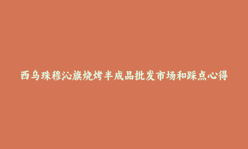 西乌珠穆沁旗烧烤半成品批发市场和踩点心得