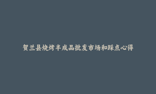贺兰县烧烤半成品批发市场和踩点心得