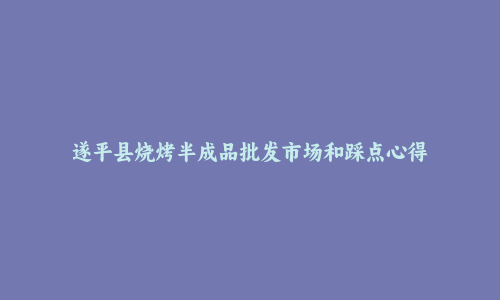 遂平县烧烤半成品批发市场和踩点心得