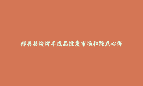 鄯善县烧烤半成品批发市场和踩点心得
