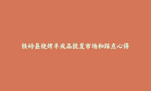 铁岭县烧烤半成品批发市场和踩点心得
