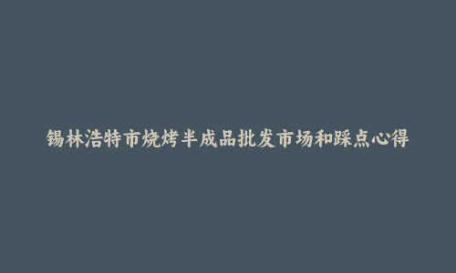 锡林浩特市烧烤半成品批发市场和踩点心得