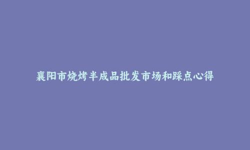 襄阳市烧烤半成品批发市场和踩点心得