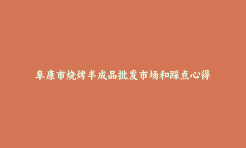 阜康市烧烤半成品批发市场和踩点心得