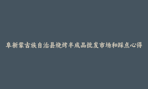 阜新蒙古族自治县烧烤半成品批发市场和踩点心得
