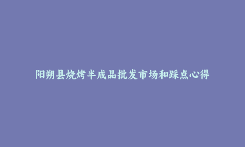 阳朔县烧烤半成品批发市场和踩点心得