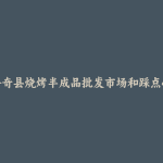 阿合奇县烧烤半成品批发市场和踩点心得
