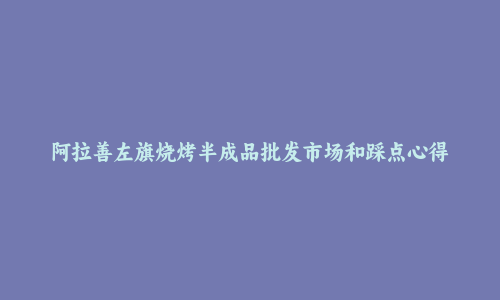 阿拉善左旗烧烤半成品批发市场和踩点心得