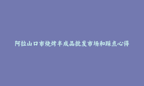 阿拉山口市烧烤半成品批发市场和踩点心得