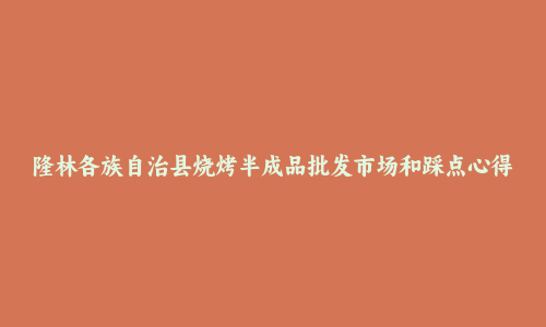 隆林各族自治县烧烤半成品批发市场和踩点心得