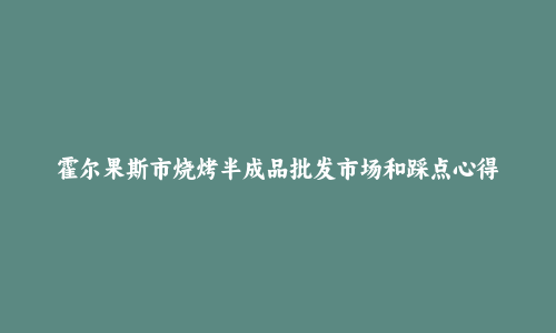 霍尔果斯市烧烤半成品批发市场和踩点心得