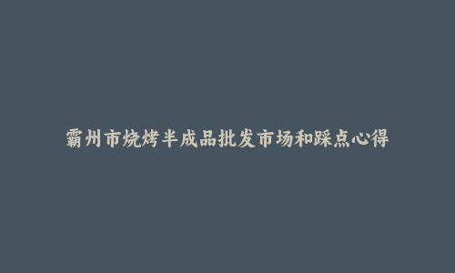 霸州市烧烤半成品批发市场和踩点心得