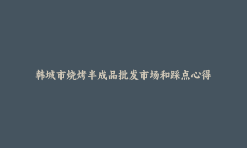 韩城市烧烤半成品批发市场和踩点心得