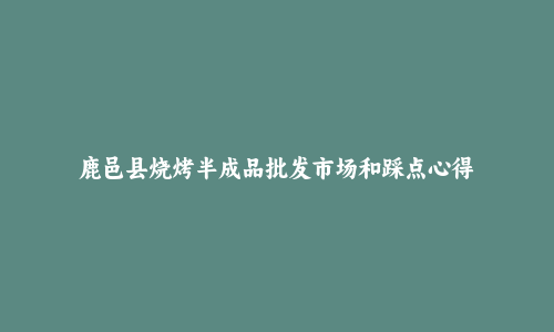 鹿邑县烧烤半成品批发市场和踩点心得