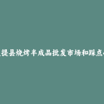 麦盖提县烧烤半成品批发市场和踩点心得
