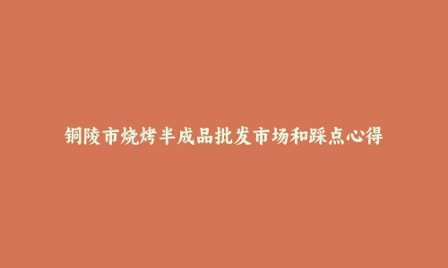 铜陵市烧烤半成品批发市场和踩点心得