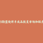 锡林郭勒盟烧烤半成品批发市场和踩点心得