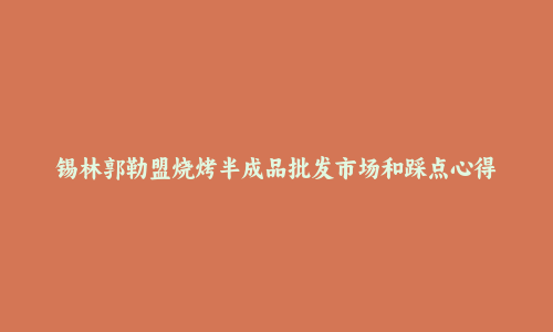 锡林郭勒盟烧烤半成品批发市场和踩点心得