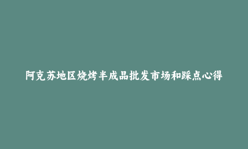 阿克苏地区烧烤半成品批发市场和踩点心得