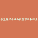 阿拉善盟烧烤半成品批发市场和踩点心得