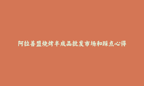 阿拉善盟烧烤半成品批发市场和踩点心得