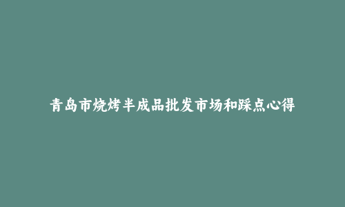 青岛市烧烤半成品批发市场和踩点心得