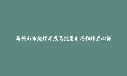 马鞍山市烧烤半成品批发市场和踩点心得