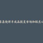 上蔡县烧烤半成品批发市场和踩点心得