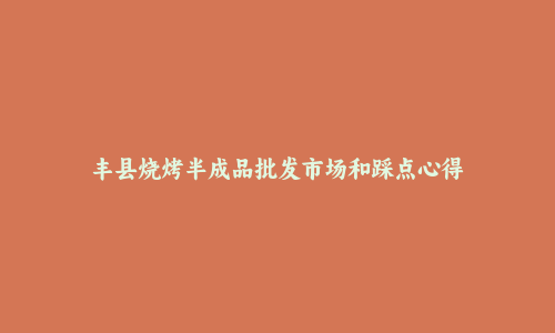 丰县烧烤半成品批发市场和踩点心得