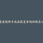 临泉县烧烤半成品批发市场和踩点心得