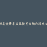 伽师县烧烤半成品批发市场和踩点心得