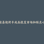 兰陵县烧烤半成品批发市场和踩点心得