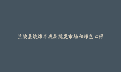 兰陵县烧烤半成品批发市场和踩点心得