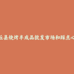 内丘县烧烤半成品批发市场和踩点心得