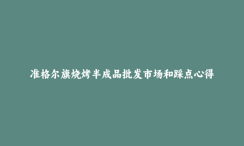 准格尔旗烧烤半成品批发市场和踩点心得