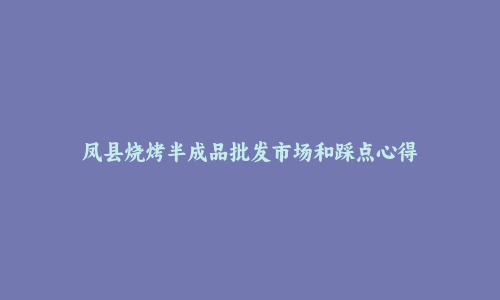 凤县烧烤半成品批发市场和踩点心得