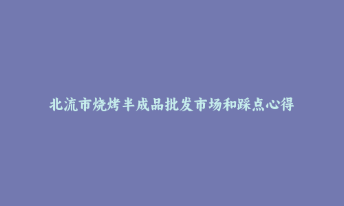 北流市烧烤半成品批发市场和踩点心得
