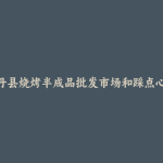南丹县烧烤半成品批发市场和踩点心得