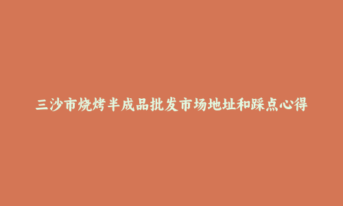 三沙市烧烤半成品批发市场地址和踩点心得