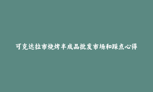 可克达拉市烧烤半成品批发市场和踩点心得