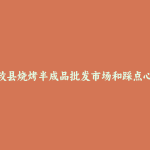 和政县烧烤半成品批发市场和踩点心得