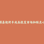 和顺县烧烤半成品批发市场和踩点心得