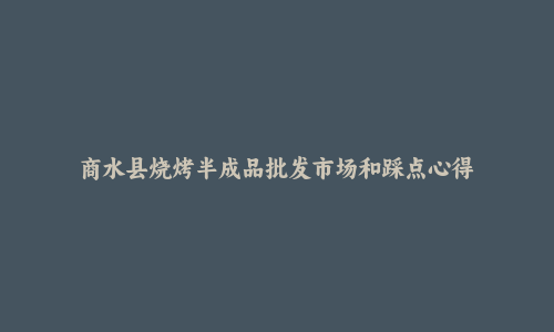 商水县烧烤半成品批发市场和踩点心得