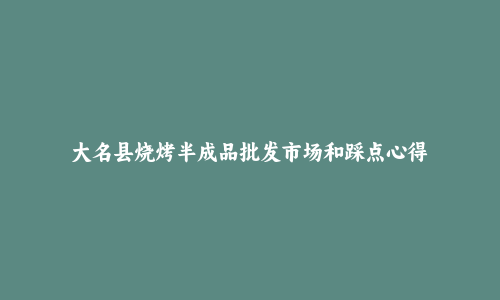 大名县烧烤半成品批发市场和踩点心得