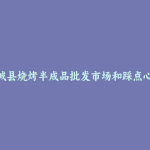 大城县烧烤半成品批发市场和踩点心得